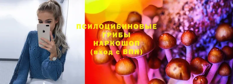 KRAKEN ONION  Александров  Галлюциногенные грибы Psilocybine cubensis 