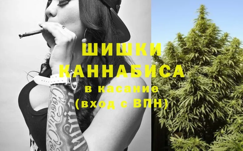 закладки  Александров  Бошки Шишки SATIVA & INDICA 